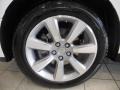 2010 Acura ZDX AWD Technology Wheel and Tire Photo