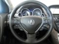 Umber 2010 Acura ZDX AWD Technology Steering Wheel