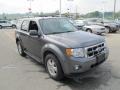 Sterling Grey Metallic - Escape XLT V6 4WD Photo No. 8