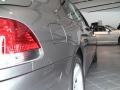 2008 Sterling Grey Metallic BMW 7 Series 750Li Sedan  photo #4