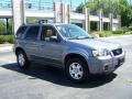 Tungsten Grey Metallic - Escape Limited 4WD Photo No. 6