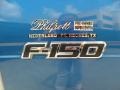 2010 Blue Flame Metallic Ford F150 XLT SuperCrew  photo #25