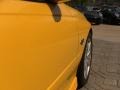 Yellow Jacket - GTO Coupe Photo No. 7