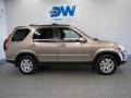 Sahara Sand Metallic - CR-V SE 4WD Photo No. 5