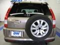 Sahara Sand Metallic - CR-V SE 4WD Photo No. 8