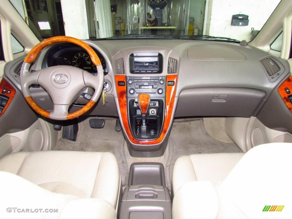 2001 RX 300 AWD - Black Onyx / Ivory photo #14
