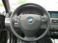 Black Steering Wheel Photo for 2011 BMW 5 Series #49779896