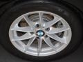 2010 BMW 3 Series 328i Sedan Wheel and Tire Photo