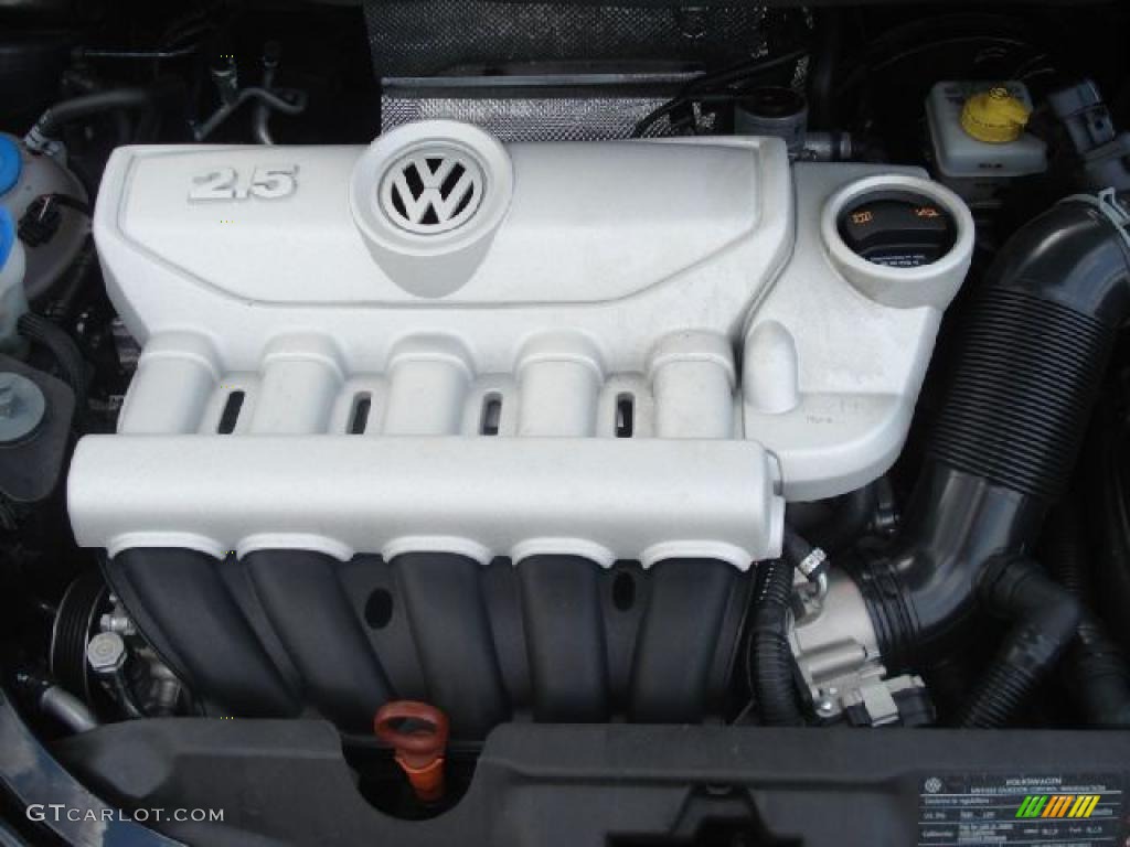 2010 Volkswagen New Beetle 2.5 Coupe 2.5 Liter DOHC 20-Valve 5 Cylinder Engine Photo #49783967