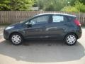 2011 Monterey Grey Metallic Ford Fiesta SE Hatchback  photo #8