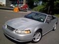 Silver Metallic - Mustang V6 Convertible Photo No. 17