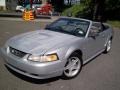 Silver Metallic - Mustang V6 Convertible Photo No. 18