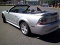 Silver Metallic - Mustang V6 Convertible Photo No. 19