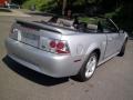 Silver Metallic - Mustang V6 Convertible Photo No. 22