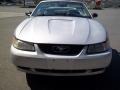 Silver Metallic - Mustang V6 Convertible Photo No. 24