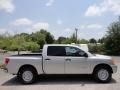 Radiant Silver 2008 Nissan Titan XE Crew Cab Exterior