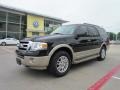 Black - Expedition Eddie Bauer 4x4 Photo No. 10