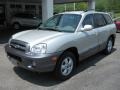 Pewter - Santa Fe GLS Photo No. 2