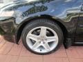 Nighthawk Black Pearl - TL 3.2 Photo No. 8
