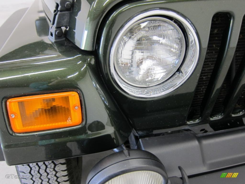 2005 Wrangler Willys Edition 4x4 - Moss Green Pearlcoat / Khaki photo #12