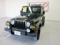 2005 Moss Green Pearlcoat Jeep Wrangler Willys Edition 4x4  photo #30