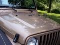 2000 Desert Sand Pearl Jeep Wrangler Sport 4x4  photo #15