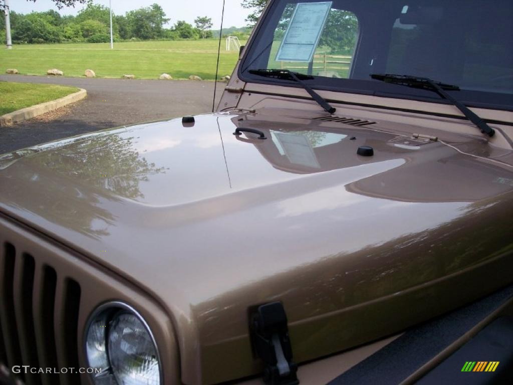 2000 Wrangler Sport 4x4 - Desert Sand Pearl / Camel photo #19