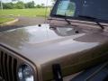 2000 Desert Sand Pearl Jeep Wrangler Sport 4x4  photo #19