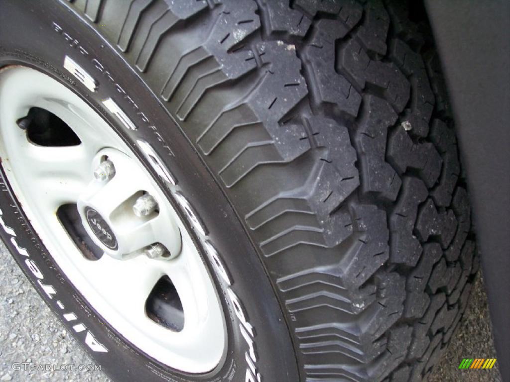 2000 Wrangler Sport 4x4 - Desert Sand Pearl / Camel photo #54