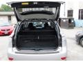 2010 Tungsten Silver Pearl Lexus RX 450h AWD Hybrid  photo #8