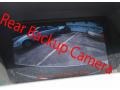 2010 Tungsten Silver Pearl Lexus RX 450h AWD Hybrid  photo #28