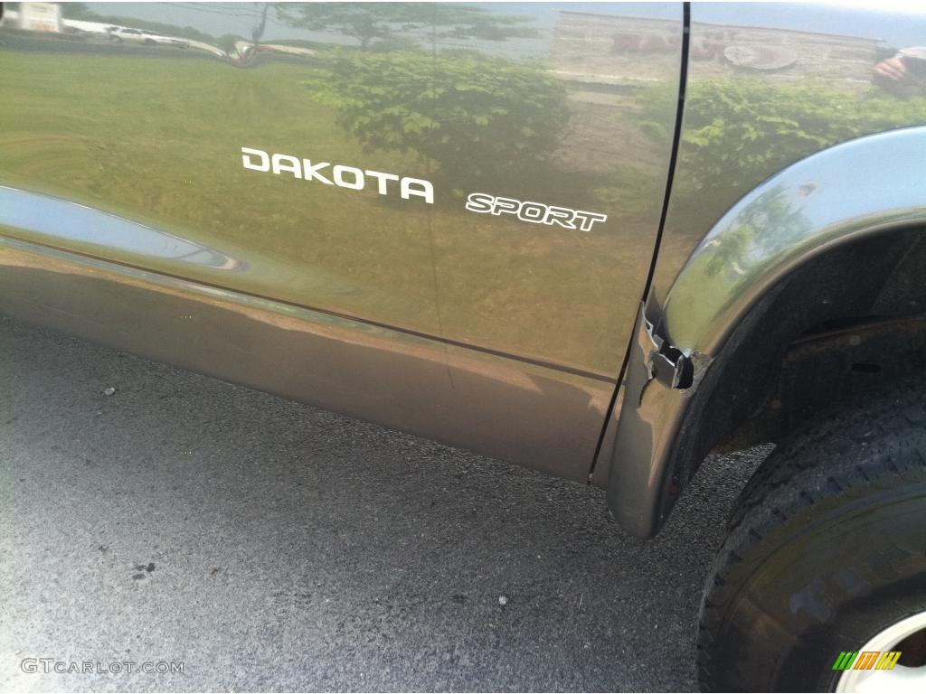 2002 Dakota Sport Quad Cab 4x4 - Graphite Metallic / Dark Slate Gray photo #4