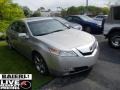 2009 Palladium Metallic Acura TL 3.7 SH-AWD  photo #1