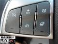 Light Platinum - SRX V6 Photo No. 18