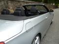 2007 Titanium Silver Metallic BMW 3 Series 335i Convertible  photo #20