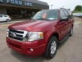 Redfire Metallic - Expedition XLT 4x4 Photo No. 8