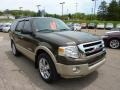 2008 Stone Green Metallic Ford Expedition Eddie Bauer 4x4  photo #6