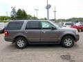 2010 Sterling Grey Metallic Ford Expedition XLT 4x4  photo #5
