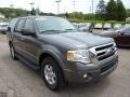 2010 Sterling Grey Metallic Ford Expedition XLT 4x4  photo #6