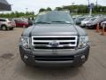 2010 Sterling Grey Metallic Ford Expedition XLT 4x4  photo #7