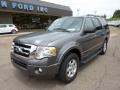2010 Sterling Grey Metallic Ford Expedition XLT 4x4  photo #8