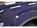 Just Blue Metallic - Xterra XE V6 4x4 Photo No. 23