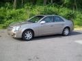 Cashmere - CTS Sedan Photo No. 2
