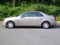 Cashmere - CTS Sedan Photo No. 3