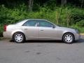 Cashmere - CTS Sedan Photo No. 5