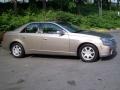 Cashmere - CTS Sedan Photo No. 29