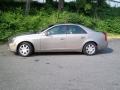 Cashmere - CTS Sedan Photo No. 34