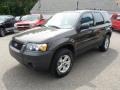 2006 Dark Stone Metallic Ford Escape XLT V6 4WD  photo #1