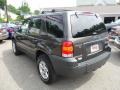 2006 Dark Stone Metallic Ford Escape XLT V6 4WD  photo #3