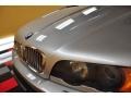 2002 Titanium Silver Metallic BMW X5 4.4i  photo #23